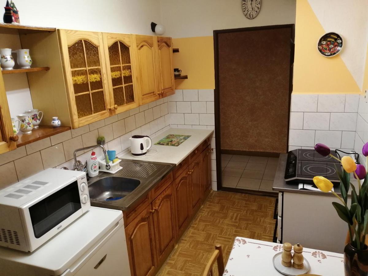 Apartmany Sedek Roprachtice エクステリア 写真